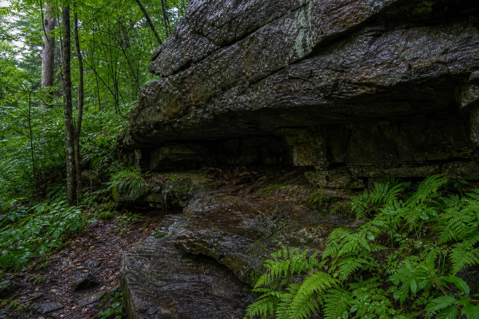 A natural rock overhang forming a shallow shelter on a wooded hillside